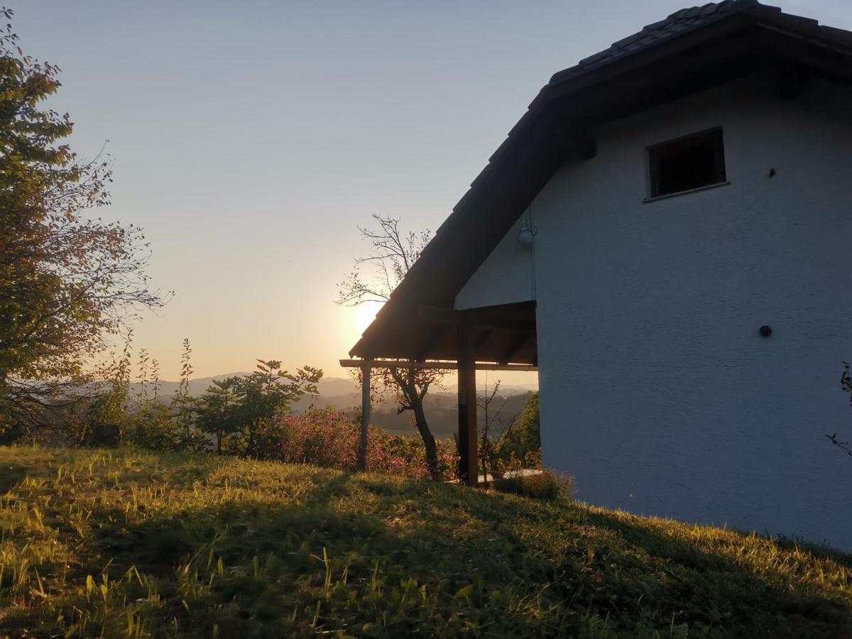 Apartma Pusa Pesnica pri Mariboru Exterior foto