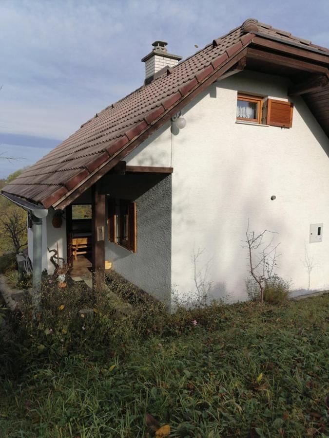 Apartma Pusa Pesnica pri Mariboru Exterior foto
