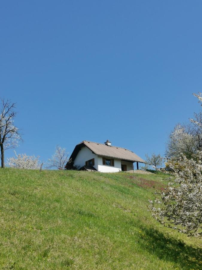 Apartma Pusa Pesnica pri Mariboru Exterior foto